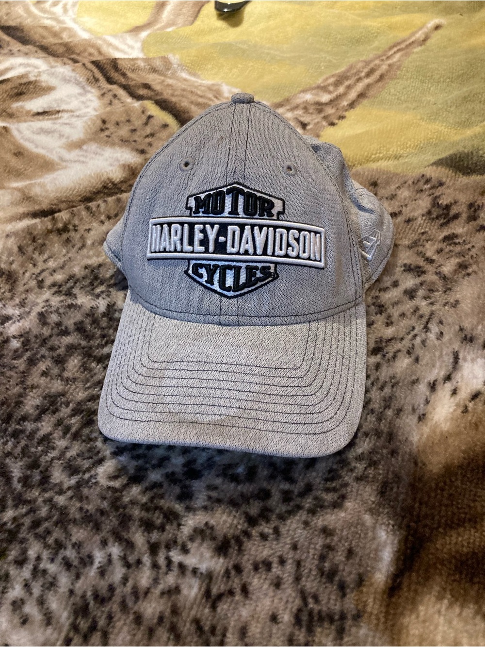 Harley-Davidson Grey and Black Interior Label Cap